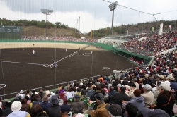 カープオープン戦