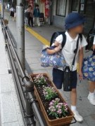 国道沿い歩道に花壇.jpg