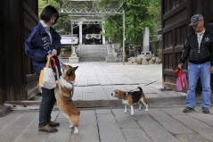 銀賞「散歩」.jpg 銀賞「散歩」.jpg