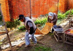銀賞「共同作業」.jpg 銀賞「共同作業」.jpg