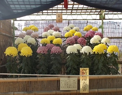 第60回菊花展内閣総理大臣賞